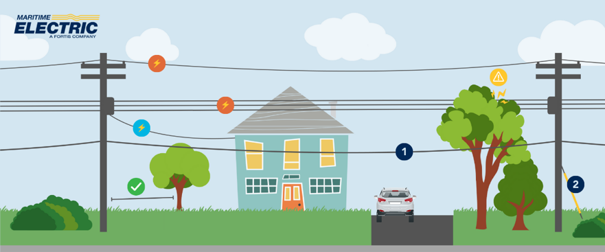 Maritime Electric Guide To Power Lines Near Your Home maritime-electric-guide-to-power-lines-near-your-home